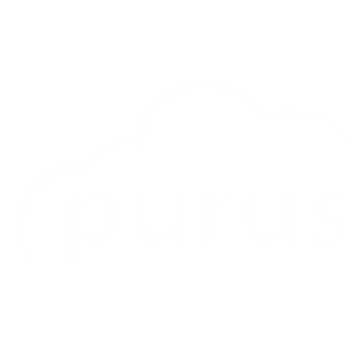 Purus Consultants