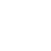 Purus Consultants